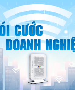 Gói cước doanh nghiệp FPT