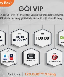 Gói Vip FPT Play
